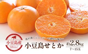 【 小豆島 】小豆島せとか 約2.8kg 柑橘 せとか 瀬戸香 果物 フルーツ 国産 くだもの ジューシー フレッシュ 国産 香川 香川県 土庄 土庄町