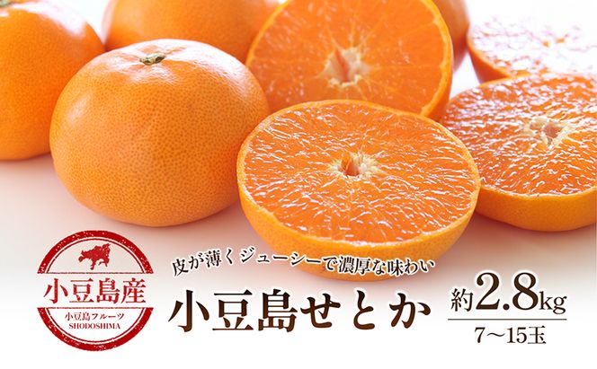 【 小豆島 】小豆島せとか 約2.8kg 柑橘 せとか 瀬戸香 果物 フルーツ 国産 くだもの ジューシー フレッシュ 国産 香川 香川県 土庄 土庄町