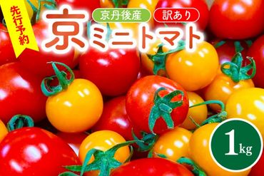 【先行予約】京丹後産・京ミニトマト 1kg（2025年5月中旬～発送）　カラフルトマト とまと キャロルムーン サンオレンジ 国産  JK00013