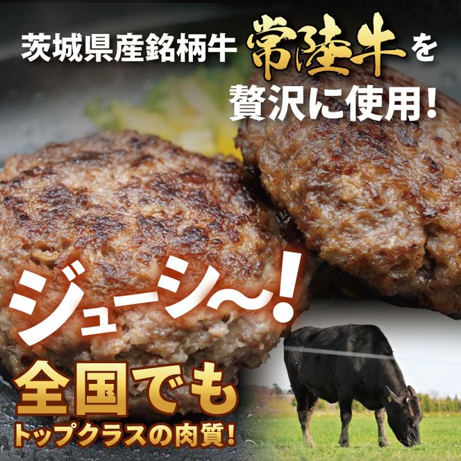 【常陸牛】生ハンバーグ 150g×5個 茨城県共通返礼品｜茨城県 大子町 牛肉 国産 ブランド牛 黒毛和牛 惣菜 おかず 贈り物 ギフト （DJ001）