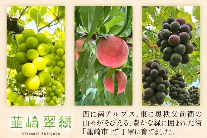 シャインマスカット 定期便 約1.0kg 3回 【2027年発送】 先行予約 韮崎翠緑セレクト NS-1020 [韮崎翠緑 山梨県 韮崎市 20744987] シャインマスカット シャイン マスカット ぶどう ブドウ 葡萄 マスカット 種なし 果物 フルーツ 山梨県産