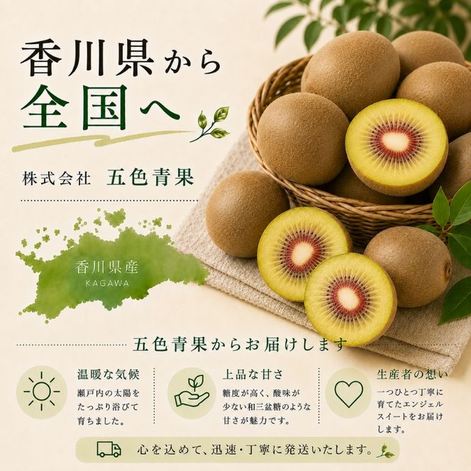 【 小豆島 】 さぬきエンジェル スイートキウイ 約1kg 化粧箱 フルーツ 果物 キウイ キウイフルーツ さぬき くだもの 国産 香川 香川県 土庄 土庄町