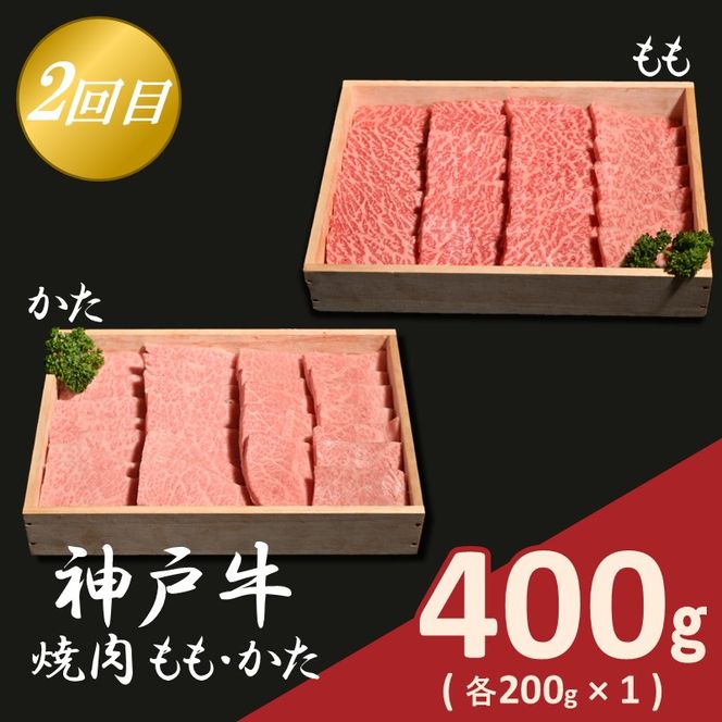 神戸牛定期便 B 【全3回】《 肉 牛肉 神戸牛 スライス肉 ももかた すき焼き 焼肉 ステーキ 計1.2kg 定期便 冷凍 》【2505A16918】