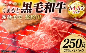 【A4～A5ランク】 くまもと黒毛和牛 赤身 モモ 焼肉用 250g （250g×1パック） 和牛 牛肉 お肉 黒毛和牛 冷凍 焼肉 BBQ おかず 熊本県 八代市