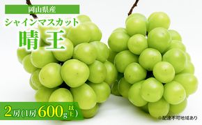 ぶどう 2026年 先行予約 シャイン マスカット 晴王 2房 （1房 600g以上） 化粧箱入り マスカット ブドウ 葡萄  岡山県産 国産 フルーツ 果物 ギフト 高級ぶどう 大粒 種なし 贈答品 