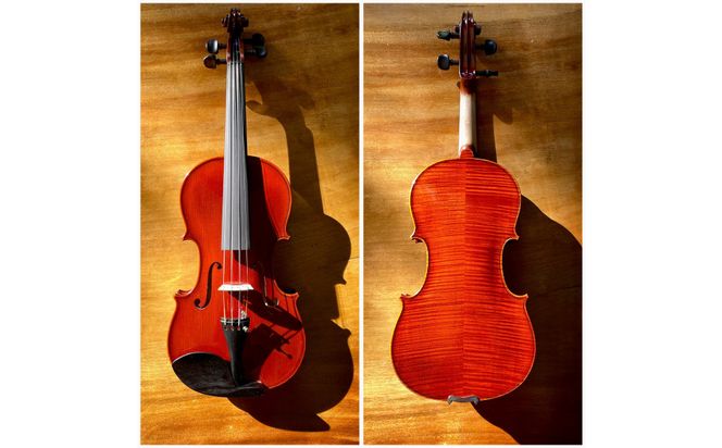 SUZUKI No.510set バイオリンセット 232238_AD80