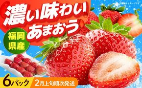 【2026年2月上旬より順次発送】福岡産【春】 あまおう 6パック 《築上町》【南国フルーツ株式会社】果物 苺 いちご[ABET012]