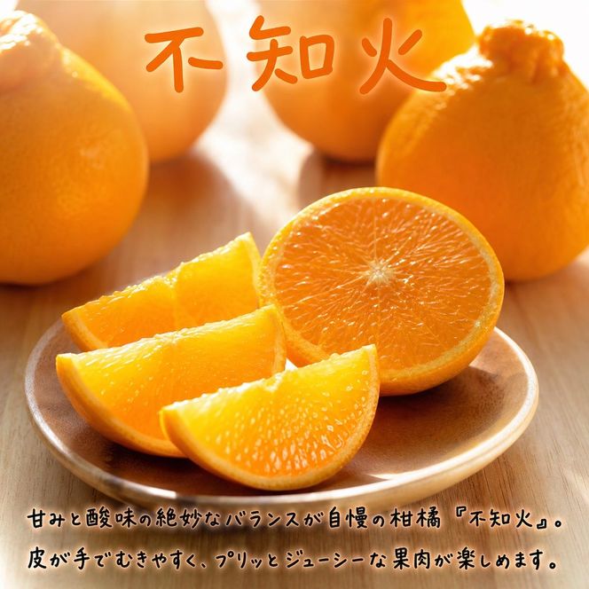 【定期便】【1・2・3月 全3回】紀州和歌山産旬 フルーツ定期便（いちご  約250g×4P 1月、ポンカン 5kg 2月、紀州デコ 約5kg 3月発送）