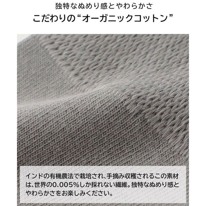 みんなのくつした 1足(20-22cm)【メイプルベージュ】《 くつした 靴下 ソックス 加古川市 送料無料 》【2500T16801_01】