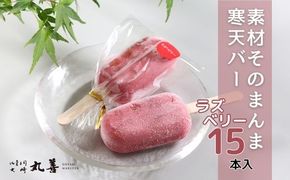素材そのまんま寒天バー ラズベリー 15本入 ｜ お菓子 スイーツ 寒天 和菓子 生菓子 ※2025年6月上旬～9月上旬頃に順次発送予定 ※北海道・沖縄・離島への配送不可