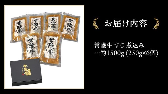 やわらか 常陸牛 すじ 煮込み 250g × 6パック (計 1500g )【茨城県共通返礼品】　牛すじ 牛肉 肉 和牛 にく 牛すじ肉 [FE024us]