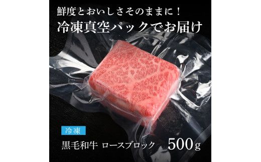 【CF-R7hbk】TKA177　天下味 長期熟成肉 エイジングビーフ 黒毛和牛 ロース肉ブロック 500ｇ 国産 A5 黒毛和牛 牛肉 ブロック 肉 人気 老舗焼肉店 冷凍 新鮮 真空パック 美味しい ローストビーフ ステーキ 贅沢 お祝い 高知 芸西村 返礼品 故郷納税 贈り物 贈答 ギフト 19000円