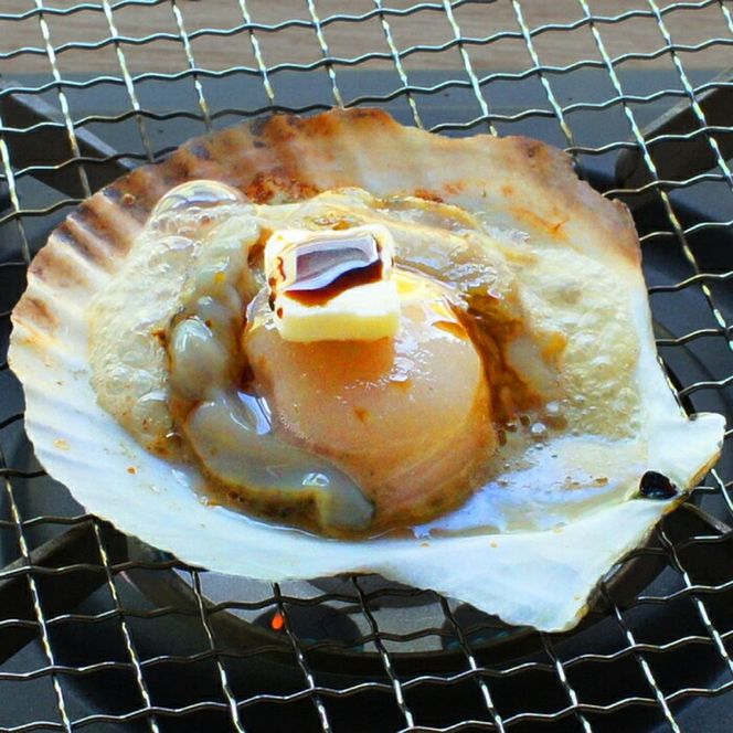 15-293 北海道産ホタテハーフシェル【BBQ用片殻付きほたて】