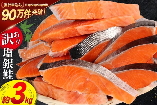 【CF03】訳あり 銀鮭 切身 約3kg [宮城東洋 宮城県 気仙沼市 20564992] 鮭 魚介類 海鮮 訳アリ 規格外 不揃い さけ サケ 鮭切身 シャケ 切り身 冷凍 家庭用 おかず 弁当 支援 サーモン 銀鮭切り身 魚 わけあり