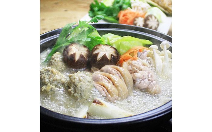 [全3回定期便]博多水炊き(はかた一番どり切り身・つみれ)セット 2〜3人前[築上町][株式会社ベネフィス][ABDF168]