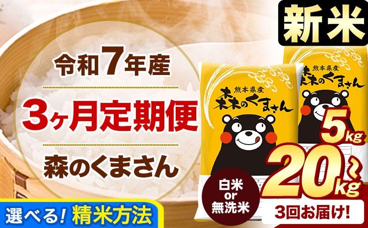[3ヶ月定期便]新米 令和7年産 白米 無洗米 森のくまさん 5kg 10kg 15kg 20kg[11月から出荷開始] 熊本県産 白米 精米 米 こめ コメ お米 kome---mifune_lcl_399_nov3---