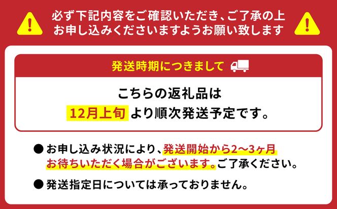 【先行予約】 野菜ソムリエ 岡田健志郎が育てた トマト 4kg トマト とまと 新鮮 サラダ 野菜 やさい 特産品 熊本県 八代市 【2026年12月上旬より順次発送】