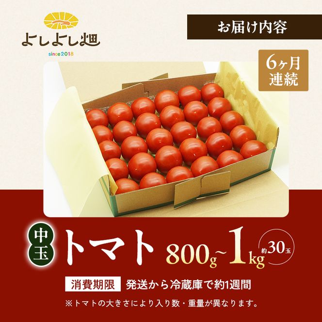 【6ヶ月連続 お届け】 よしよし畑のあま～い トマト ( 中玉トマト ) 800g ～ 1kg 計約3kg 程度 新鮮 産地直送  とまと 頒布会 定期便 おいしい おすすめ ギフト お取り寄せ