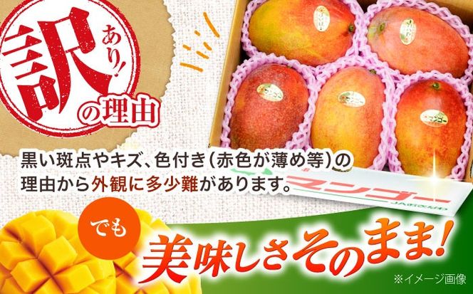 【先行予約 2026年発送 予約受付】訳あり 完熟マンゴー 約1.5kg (3～6玉入) マンゴー 沖縄 果物 フルーツ ギフト 沖縄市 / ちゃんぷる～市場 [BCAA001]