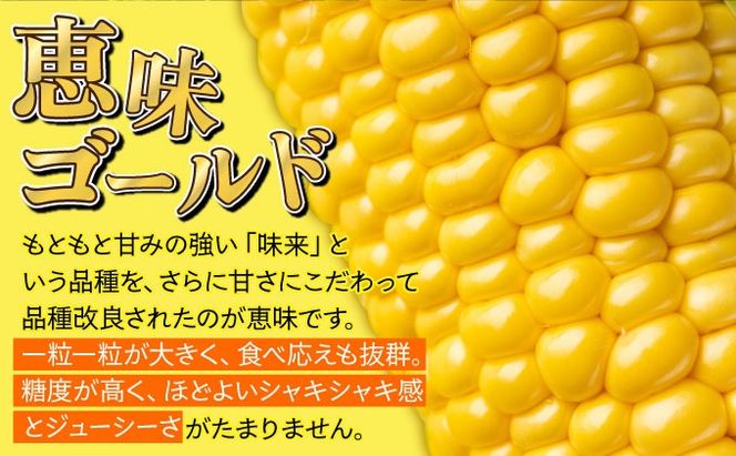 やまけんや とうもろこし 恵味ゴールド 10本 スイートコーン コーン 甘い サラダ スープ 生でも美味しい 産地直送 BBQ とうきび 国産 人気 バーベキュー 焼きとうもろこし 取り寄せ 糖度 北海道 伊達市