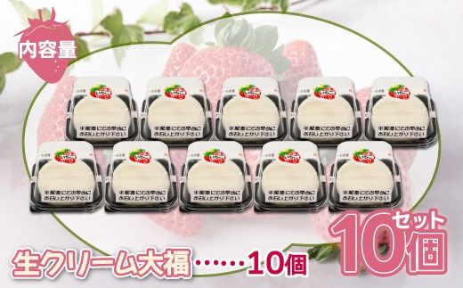 北海道 豊浦町 生クリーム大福いちご 10個 TYUN032