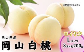 桃 2026年 先行予約 岡山 白桃 ロイヤル 3玉×200g（Lサイズ） 岡山県産 JAおかやまのもも モモ 岡山県産 国産 フルーツ 果物 ギフト 