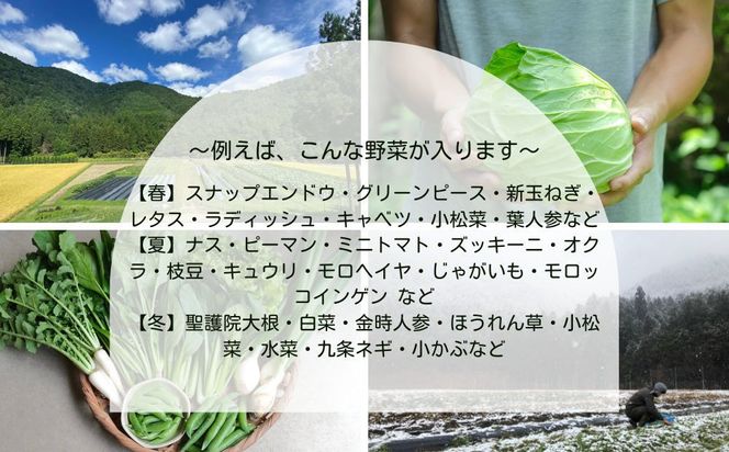 ＜定期便6回＞【よしだのはたけ】旬の野菜8品 やさいBOX｜京都 京北 農家直送 野菜 人気セット [ 旬のお野菜 新鮮 おまかせセット 美味しい 産地直送 野菜詰め合わせ 野菜セット 野菜定期便 人気 おすすめ ギフト プレゼント お取り寄せ 通販 送料無料 ふるさと納税 ] 261009_B-XZ02