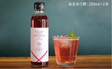 あまおう コンポート ・ 飲む あまおう酢 各2本 セット《 糸島 》【TANNAL 磯本農園】いちご イチゴ 苺 [ATB015]