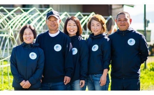 みくにクレソン100g×20袋 美容 健康 野菜 スーパーフード クレソン [CY005ci]