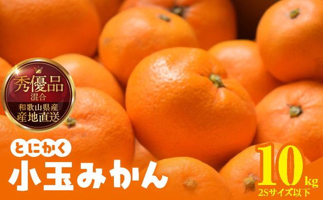 MK1041_【2026年先行予約】みかん とにかく 小玉 箱込 10kg ( 内容量 9.2kg ) 2Sサイズ以下 秀品 優品 混合 有田みかん 和歌山県産 産地直送 【みかんの会】