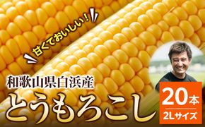 ［先行予約］しらはま農家 とうもろこし2Lサイズ20本 ［2026年6月発送予定］ 304018_DK08