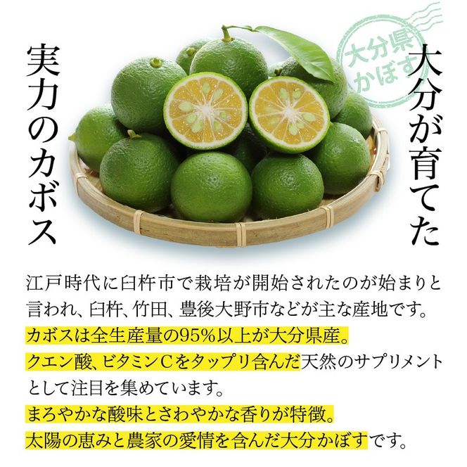 【隔月2ケース】つぶらなカボス定期便_2727R