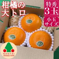 お試し規格 柑橘の大トロ ハウス せとか 厳選 小玉 3玉入 手さげ箱 南泰園 和歌山 有田　BS196