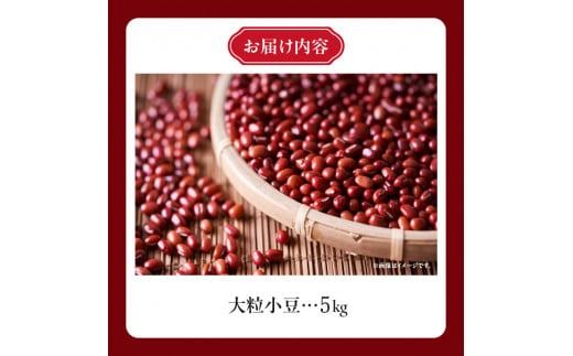 MORITABEANS プレミア小豆 5kg_S001-0003