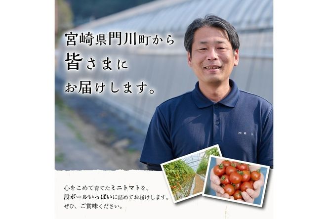 ＜先行予約受付中！2025年12月から順次発送予定＞＜期間限定＞ ミニトマト(約3kg) ミニトマト(約3kg)野菜 とまと フルーツトマト サマー千果 アイコ サラダ 【GF-2】【グーファーム】