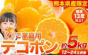 先行予約 訳あり デコポン 約5kg前後(約12-24玉前後)《2027年2月上旬-4月上旬頃出荷》 デコポン みかん 不知火 ご家庭用 訳ありデコポン 訳アリ 熊本県産 熊本県 長洲町 糖度13度以上---ng_deko_2j4j_r8_14500_5kg---
