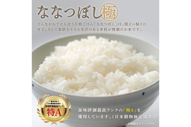 《7営業日以内に発送》令和7年産 ななつぼし 10kg 北海道産 極 精白米 最高ランク 特A ( お米 米 精米 5キロ 10キロ 北海道産 精白米 )【080-0084】