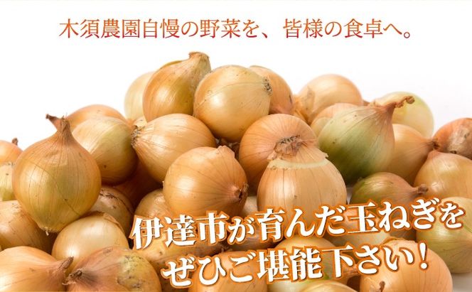 【 2026年 発送 】 先行予約 北海道 玉ねぎ 10kg M-L混合 北はやて タマネギ たまねぎ 玉葱 玉ネギ オニオン 伊達野菜  野菜 新鮮 採れたて 産地直送 サラダ マリネ 肉じゃが オニオンスープ 木須農園 送料無料