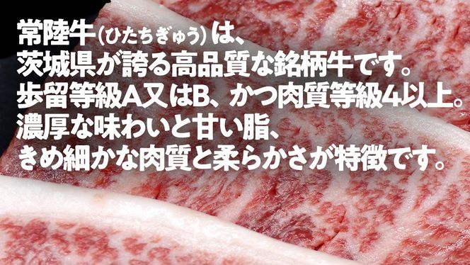 【 常陸牛100% 】 ハンバーグ 10個 ( ソース付 )( 茨城県共通返礼品 ) 牛肉100% 国産 ブランド牛 常陸牛 牛肉 肉 牛 お肉 黒毛和牛 和牛 おかず 惣菜 弁当 小分け 個包装 冷凍 時短 グルメ お取り寄せ お土産 贈り物 贈答 ギフト 日持ち 茨城 [BM008us]