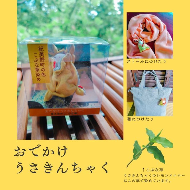 こぶな草3点セット うさぎ巾着ブローチ・ポストカード・染め草 ／ 紀美野町 【sik929-set-kbn】