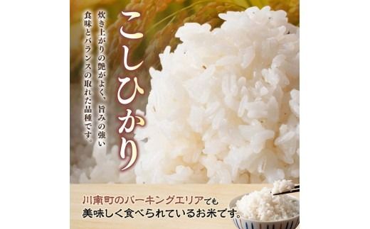 米 ※選べる内容量・精米種別※【令和8年産】川南町産　永友農園「こしひかり」5kg/10kg/15kg　【 米 お米 玄米 白米 新米 国産 宮崎県産 コシヒカリ 】ⅡⅧ [B10601 B10602 B10603 B10604]