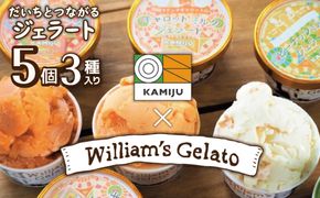 【3種のフレーバーを食べ比べ!!】だいちとつながるジェラート5個セット 映えるデザインが可愛いと話題に!! マドンナキャロット 地元野菜 甘い アイス スイーツ デザート 洋菓子 可愛い 詰め合わせ キャロットミルク フルーツサラダ ピーナッツミルク 自慢 冷たい にんじん 人参 落花生 ピーナッツ 農家 神重農産 H105-261