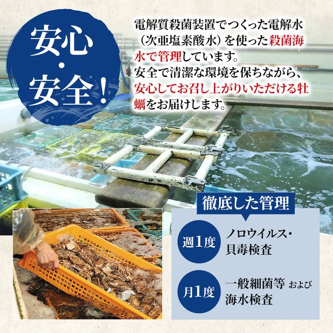 北海道 厚岸産 ブランド 殻付牡蠣 食べ比べ 弁天牡蠣 A3サイズ カキえもんLL サイズ 各6個 生食用 [ 牡蠣 カキ かき 生食 生食用 生牡蠣 食べ比べ 魚貝類 ブランド牡蠣 ]