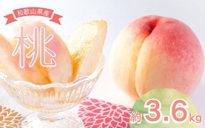  【先行予約受付】和歌山県産の美味しい 桃 約3.6kg(11～15玉)  /もも 果物 フルーツ 和歌山県 ※6月中旬～8月上旬頃順次発送予定 ※離島への配送不可  【mat501-r-3d6】