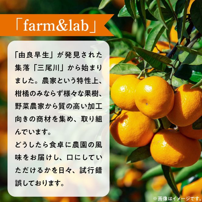 みかんジュース 1L「ゆら絞りみかん 無添加」_DG6005n