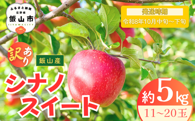 【先行予約丨2026年10月中旬より順次発送】訳あり シナノスイート【約5kg (11〜20玉)】(At-021)丨長野県 飯山市 おすすめ ランキング おいしい 高評価 大人気 先取り 産地直送 りんご 訳あり 規格外