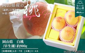 桃 2026年 先行予約 桃 早生種 約900g 3～4玉 もも モモ 岡山県産 国産 フルーツ 果物 ギフト