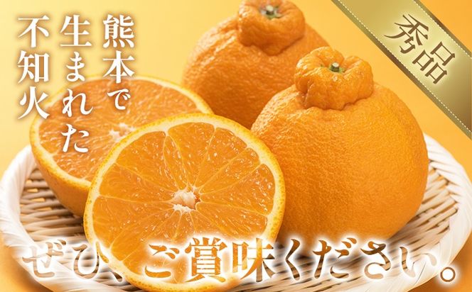 不知火（デコポン同品種） 選べる 内容量 約2kg～約5kg 日本フルーツ株式会社 熊本県 長洲町 《2026年1月下旬-2月末頃出荷予定》 デコポン 果物 秀品 フルーツ スイーツ デザート ギフト ご贈答---sn_nfsrn_cf1_25_8500_2kg---