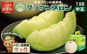 【12ヶ月定期便】クラウンメロン（白等級）中玉　1玉入 　果物 フルーツ デザート メロン マスクメロン 青肉 高級 ギフト 贈り物 静岡県産 袋井市