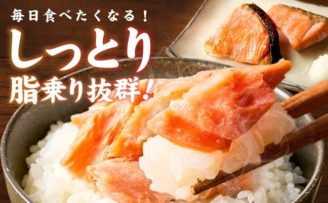 010B1932 鮭の切り身 500g（11～13切れ）【お弁当 訳アリ 不揃い 切身 サケ さけ しゃけ シャケ 魚介 海鮮 魚 さかな】